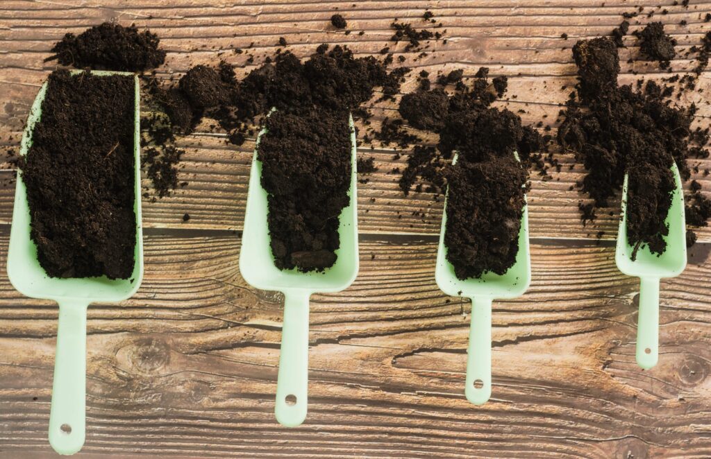 Soil pH test guide for healthy lawn 2025