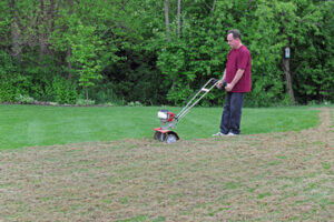 Comparison of lawn before and after dethatching showing healthier grass
