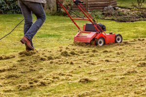 Person using a power rake to dethatch a lawn