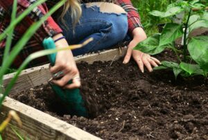 Marking and preparing lawn with cardboard layer before building a raised garden bed frame