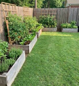 Raised garden bed placed next to a green lawn with clean edging and balanced backyard landscaping